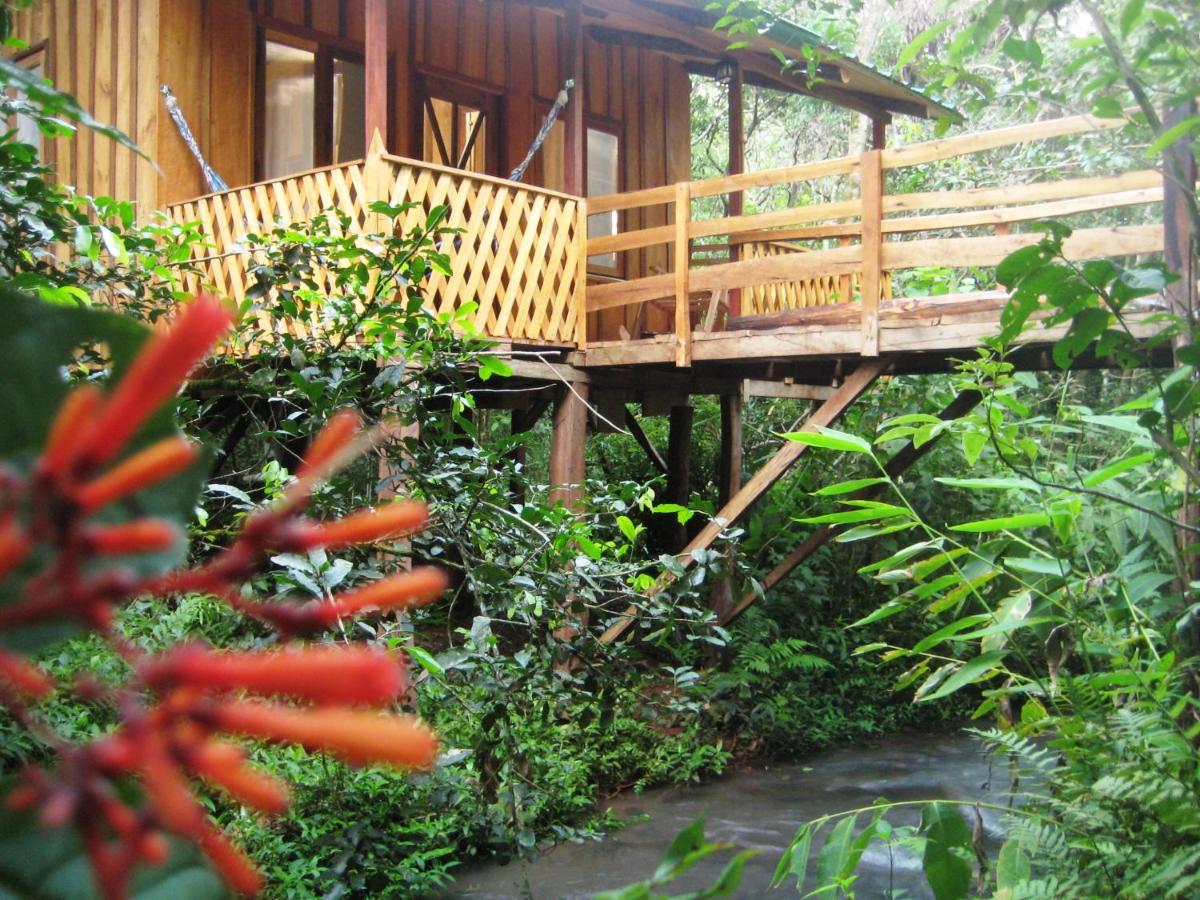 Yasi Yatere Reserva Agroecologica El Soberbio Exterior photo